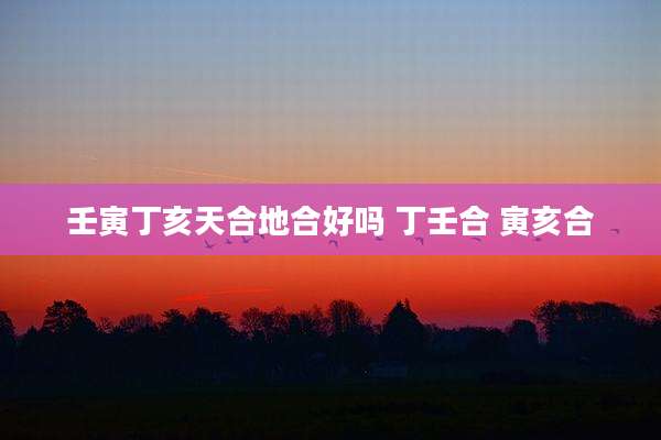壬寅丁亥天合地合好吗 丁壬合 寅亥合