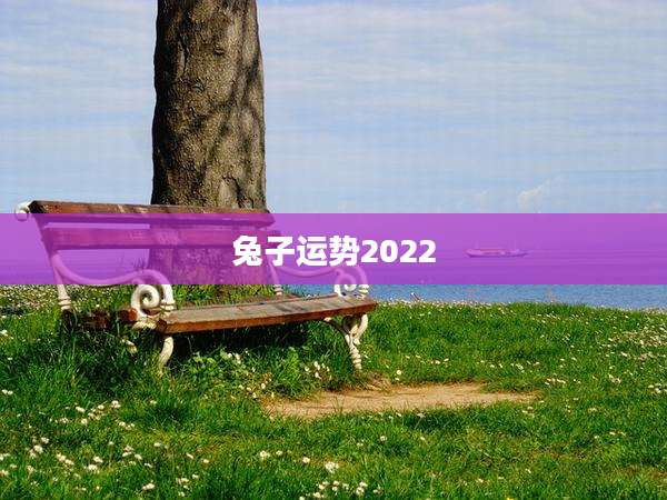 兔子运势2022