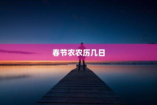 春节农农历几日