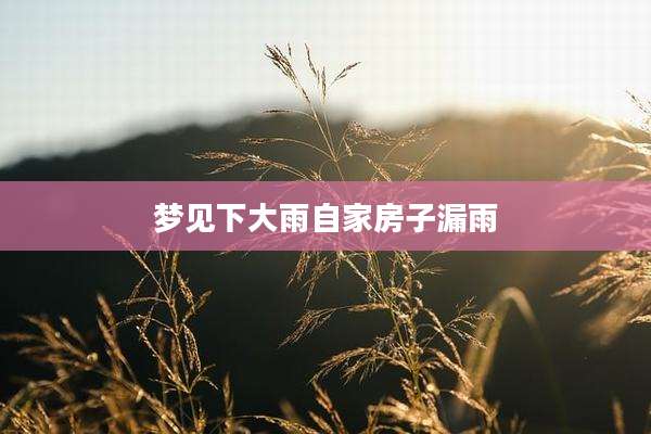 梦见下大雨自家房子漏雨