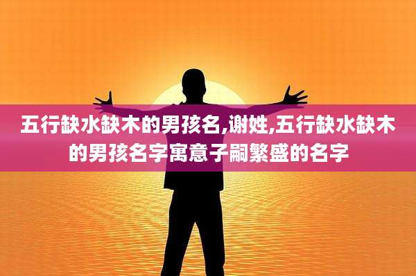 五行缺水缺木的男孩名,谢姓,五行缺水缺木的男孩名字寓意子嗣繁盛的名字