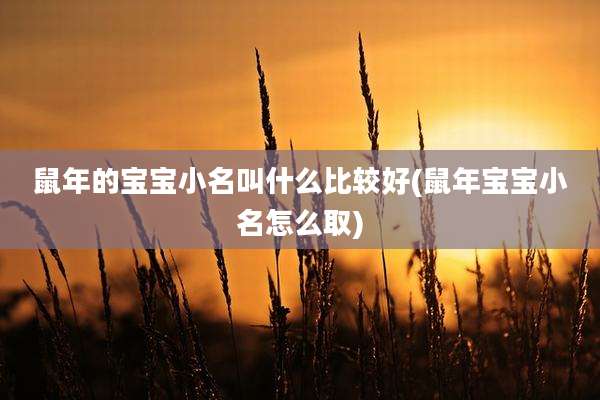 鼠年的宝宝小名叫什么比较好(鼠年宝宝小名怎么取)