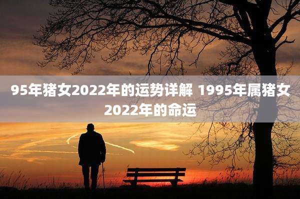 95年猪女2022年的运势详解 1995年属猪女2022年的命运