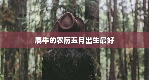 属牛的农历五月出生最好