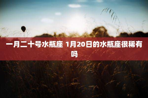 一月二十号水瓶座 1月20日的水瓶座很稀有吗