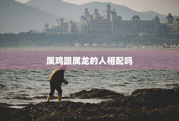 属鸡跟属龙的人相配吗