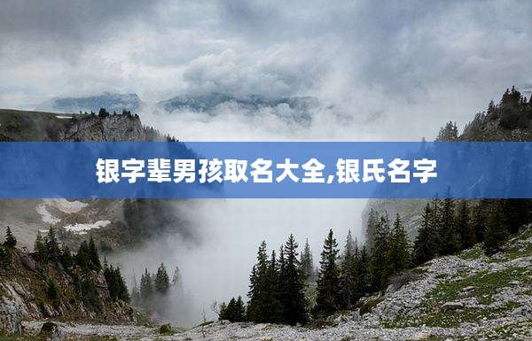 银字辈男孩取名大全,银氏名字