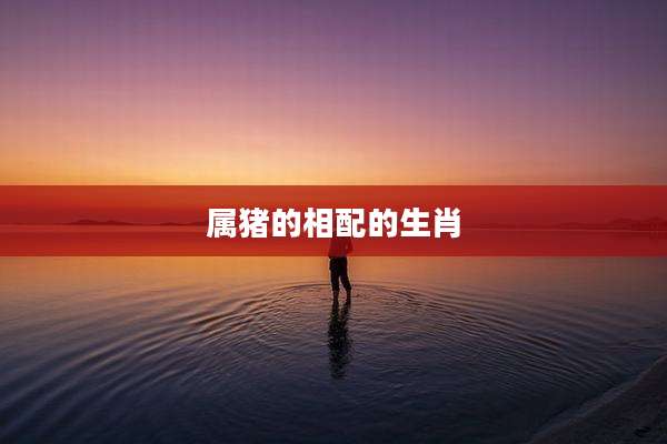 属猪的相配的生肖
