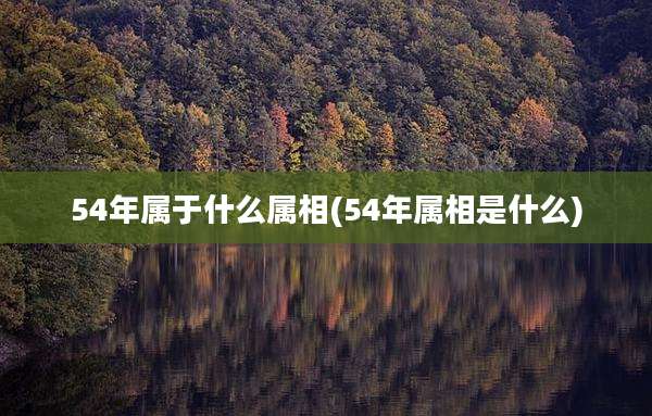 54年属于什么属相(54年属相是什么)