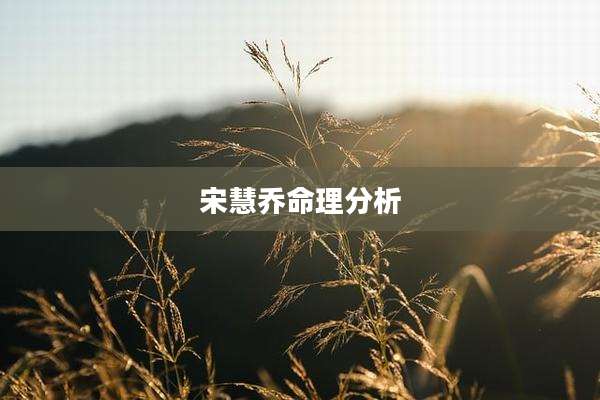 宋慧乔命理分析
