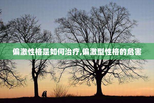 偏激性格是如何治疗,偏激型性格的危害