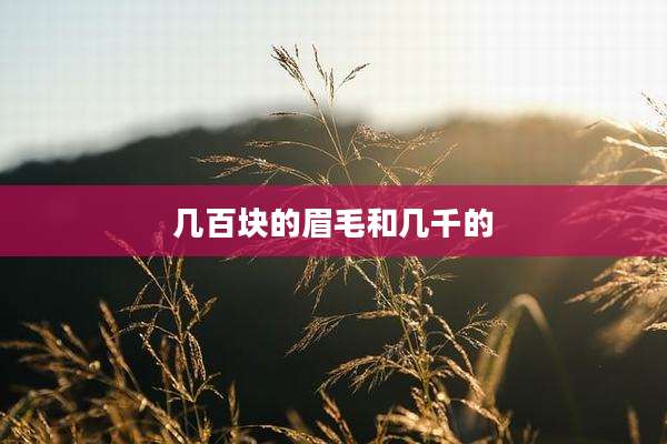 几百块的眉毛和几千的