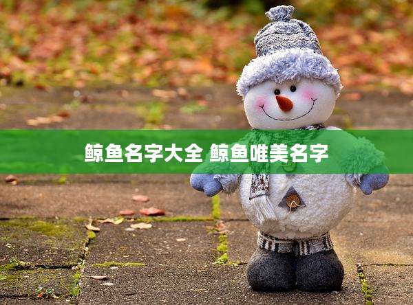 鲸鱼名字大全 鲸鱼唯美名字
