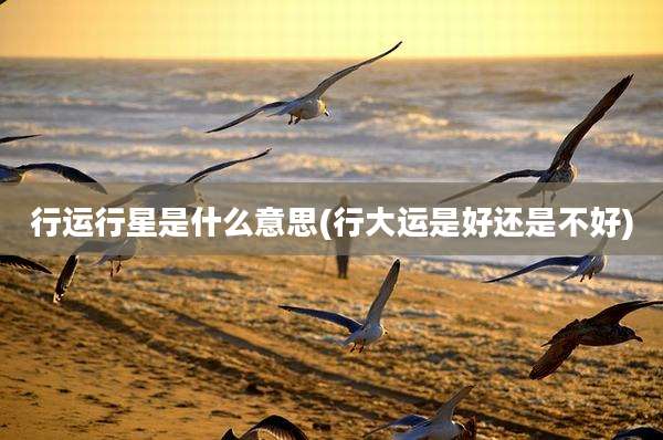 行运行星是什么意思(行大运是好还是不好)