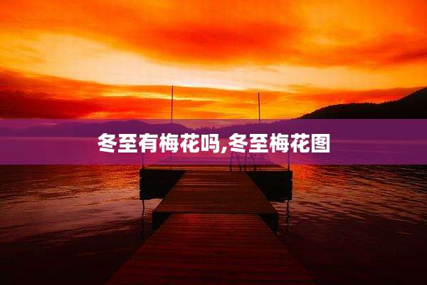 冬至有梅花吗,冬至梅花图