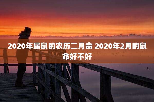 2020年属鼠的农历二月命 2020年2月的鼠命好不好