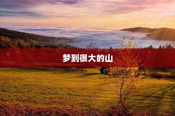 梦到很大的山