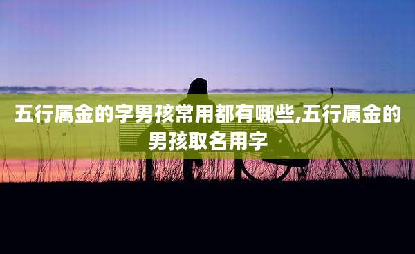 五行属金的字男孩常用都有哪些,五行属金的男孩取名用字