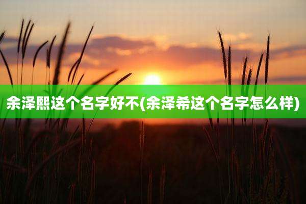 余泽熙这个名字好不(余泽希这个名字怎么样)