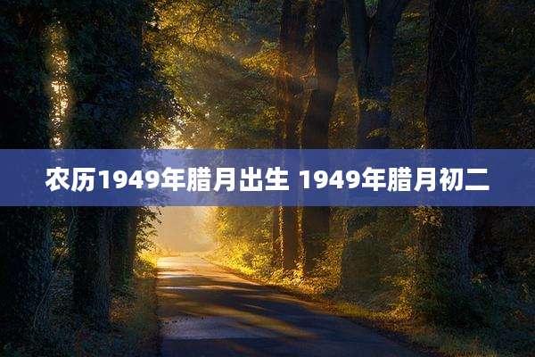 农历1949年腊月出生 1949年腊月初二