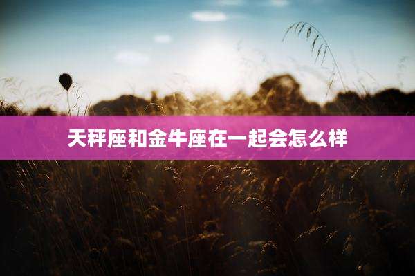天秤座和金牛座在一起会怎么样