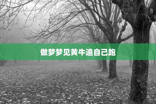 做梦梦见黄牛追自己跑