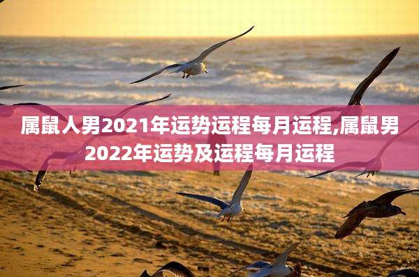 属鼠人男2021年运势运程每月运程,属鼠男2022年运势及运程每月运程