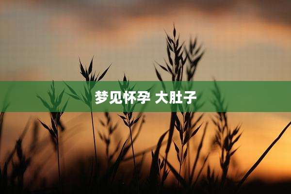 梦见怀孕 大肚子