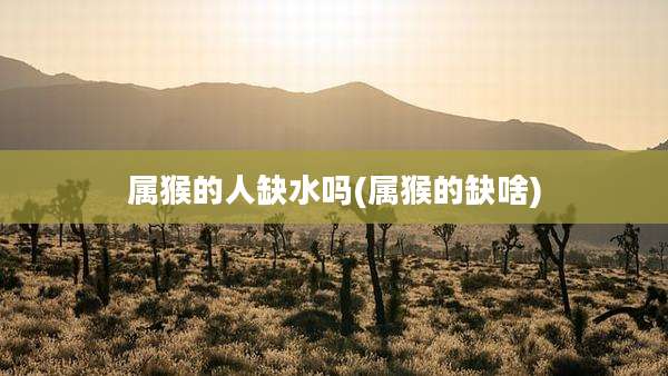 属猴的人缺水吗(属猴的缺啥)