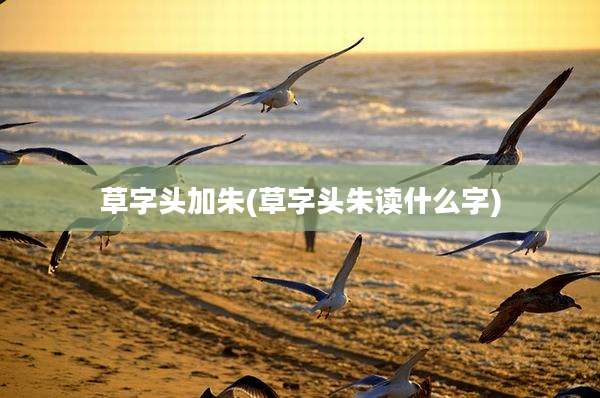 草字头加朱(草字头朱读什么字)