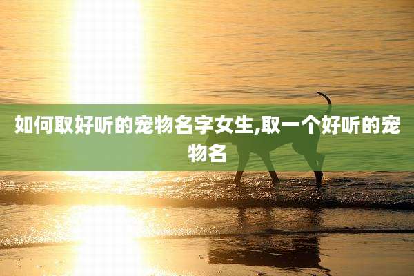 如何取好听的宠物名字女生,取一个好听的宠物名
