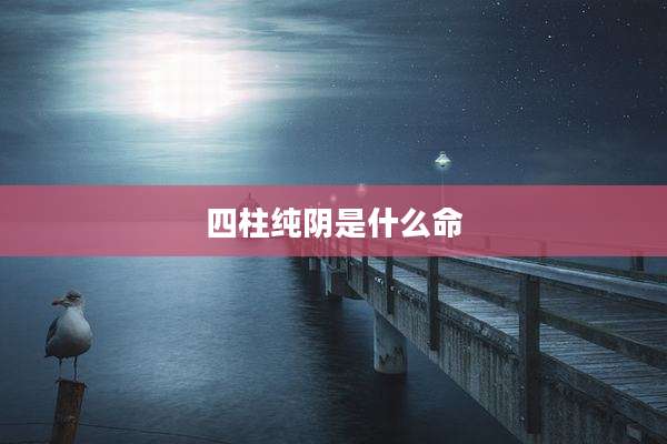 四柱纯阴是什么命