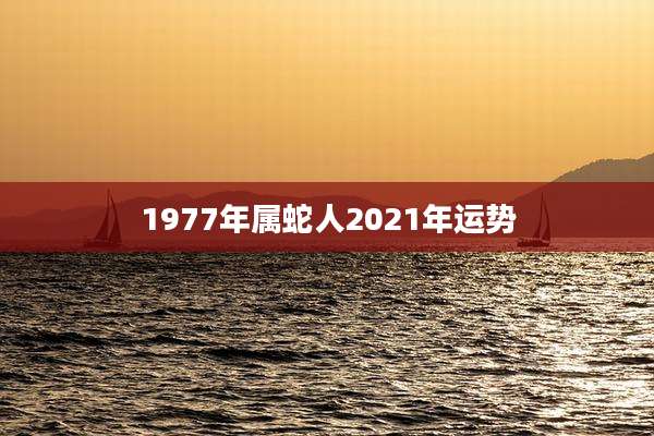 1977年属蛇人2021年运势