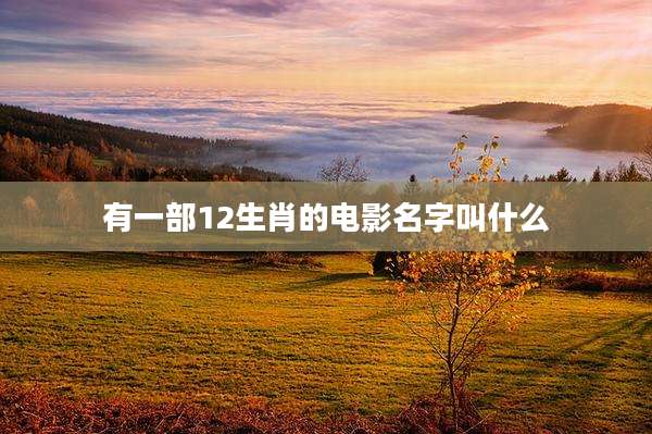 有一部12生肖的电影名字叫什么