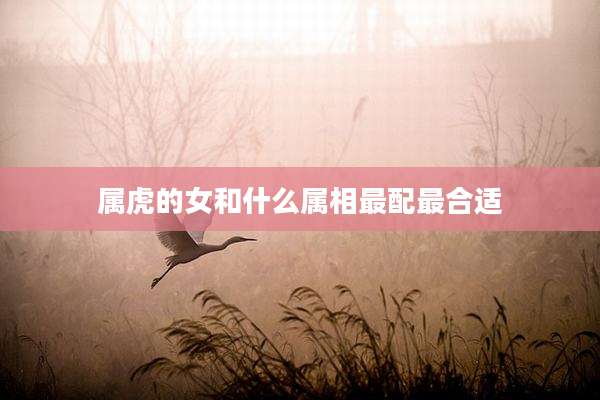 属虎的女和什么属相最配最合适