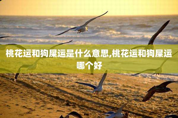 桃花运和狗屎运是什么意思,桃花运和狗屎运哪个好