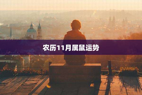 农历11月属鼠运势