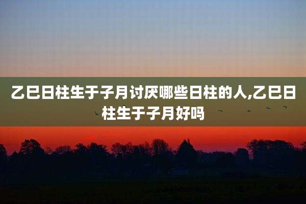 乙巳日柱生于子月讨厌哪些日柱的人,乙巳日柱生于子月好吗
