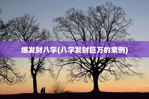爆发财八字(八字发财巨万的案例)