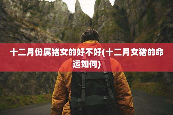 十二月份属猪女的好不好(十二月女猪的命运如何)