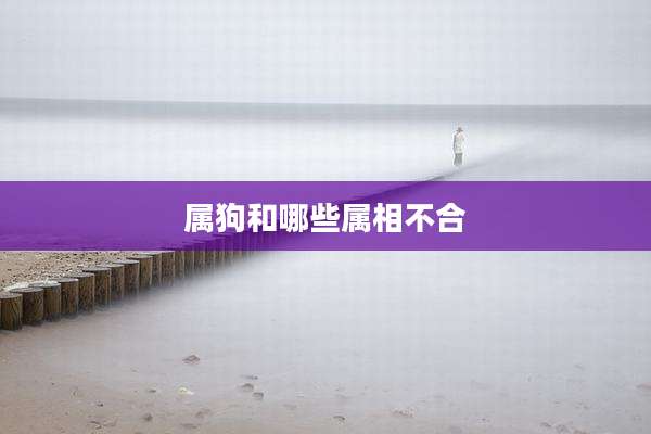 属狗和哪些属相不合