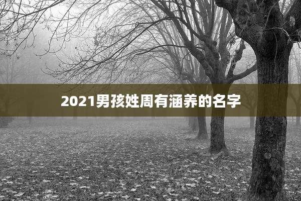 2021男孩姓周有涵养的名字