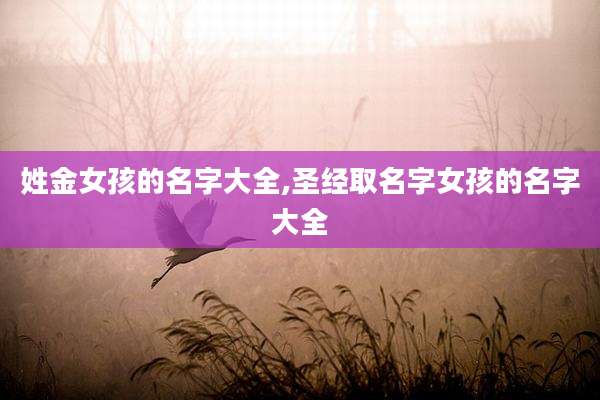 姓金女孩的名字大全,圣经取名字女孩的名字大全