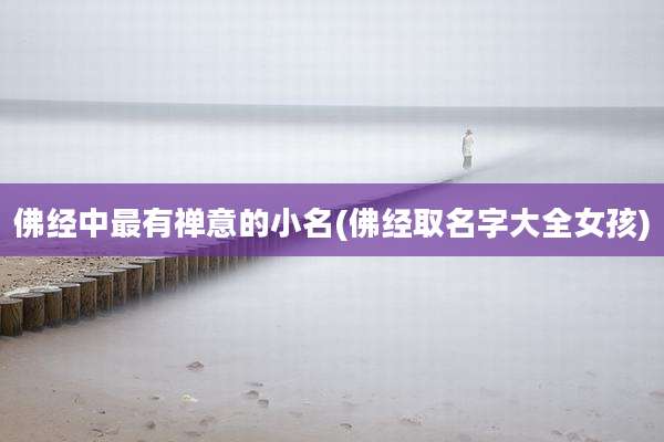 佛经中最有禅意的小名(佛经取名字大全女孩)