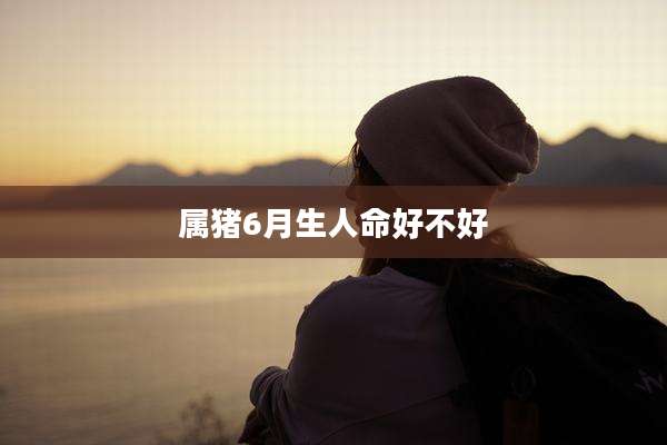 属猪6月生人命好不好