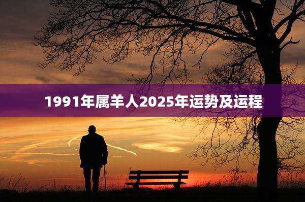 1991年属羊人2025年运势及运程