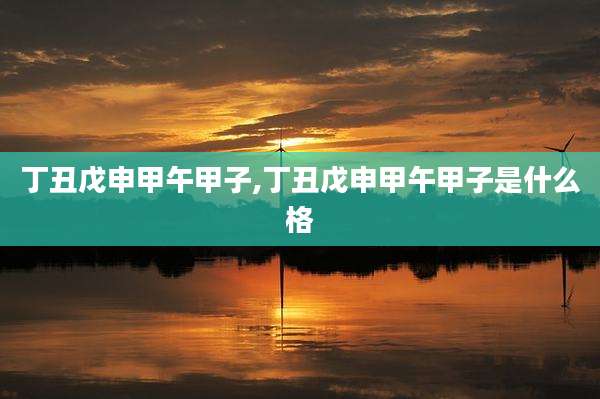 丁丑戊申甲午甲子,丁丑戊申甲午甲子是什么格