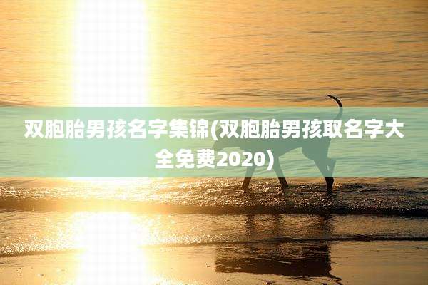 双胞胎男孩名字集锦(双胞胎男孩取名字大全免费2020)