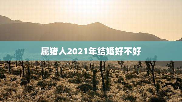 属猪人2021年结婚好不好