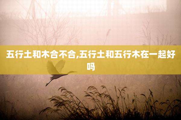 五行土和木合不合,五行土和五行木在一起好吗
